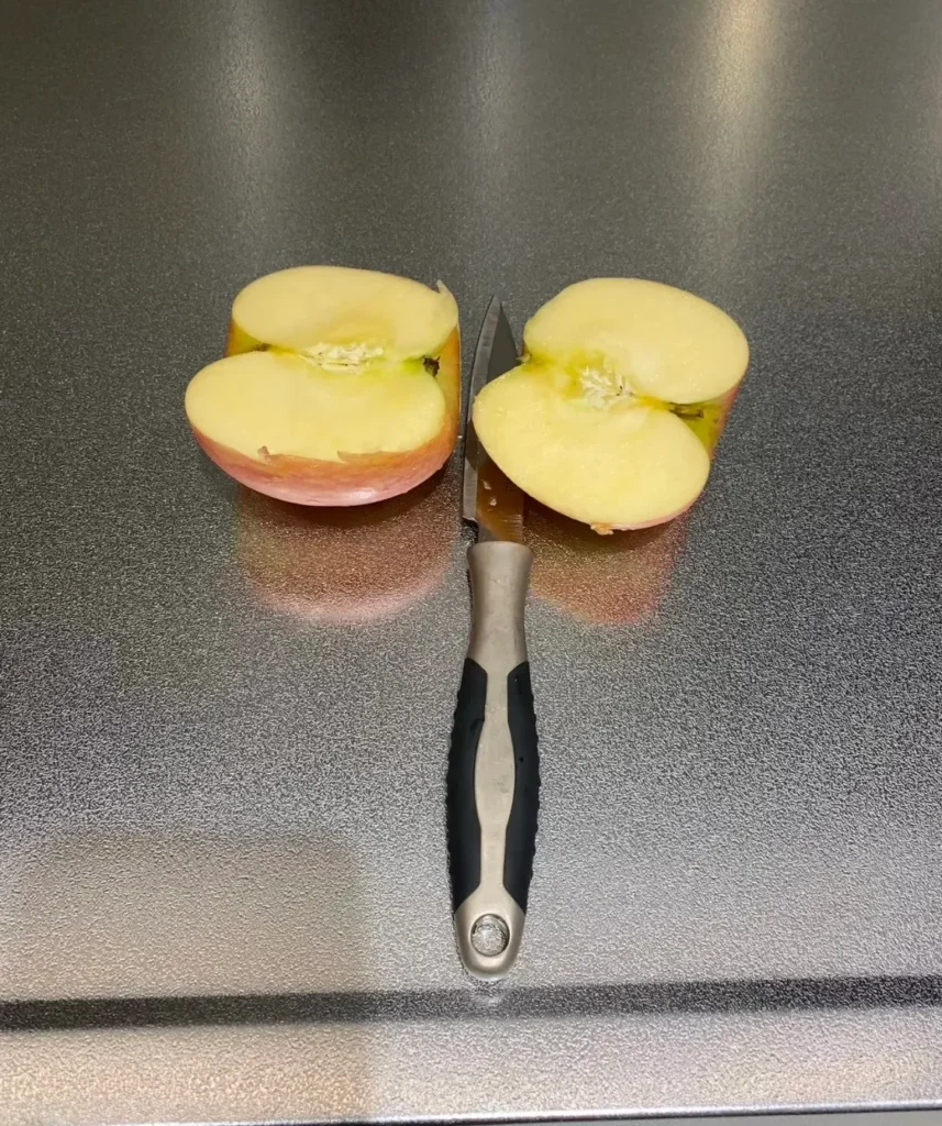 Cut apple on food-grade stainless steel countertop showing scratch resistance